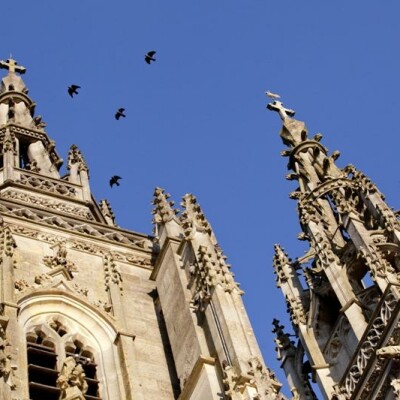 Une basilique qui ne manque pas de piquant cover