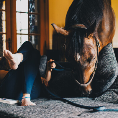 🧘♀️ Mindset • La procrastination, vitale cover