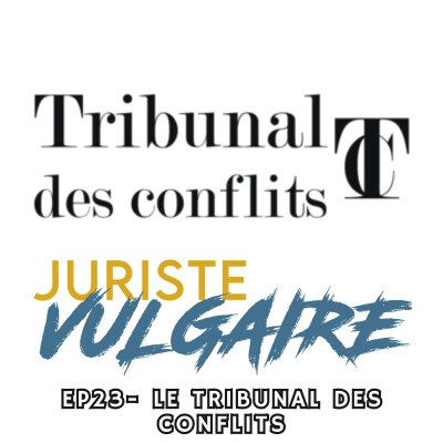 #23 - Le Tribunal des conflits cover