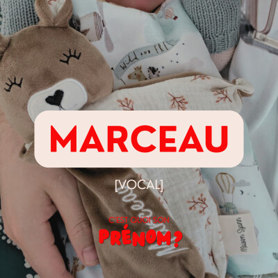 Marceau [VOCAL] cover