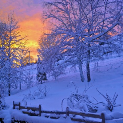 Découvrez la petite Finlande ! cover