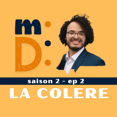 S2 - Episode 2 : La colère, un péché ou un message ? cover