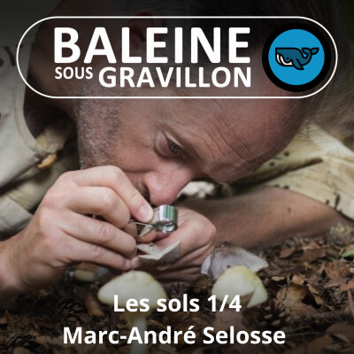 S04E30 Les sols 1/4 : L'origine du monde, à l'intention de ceux qui le piétinent, Marc-André Sélosse (biologiste, auteur) cover
