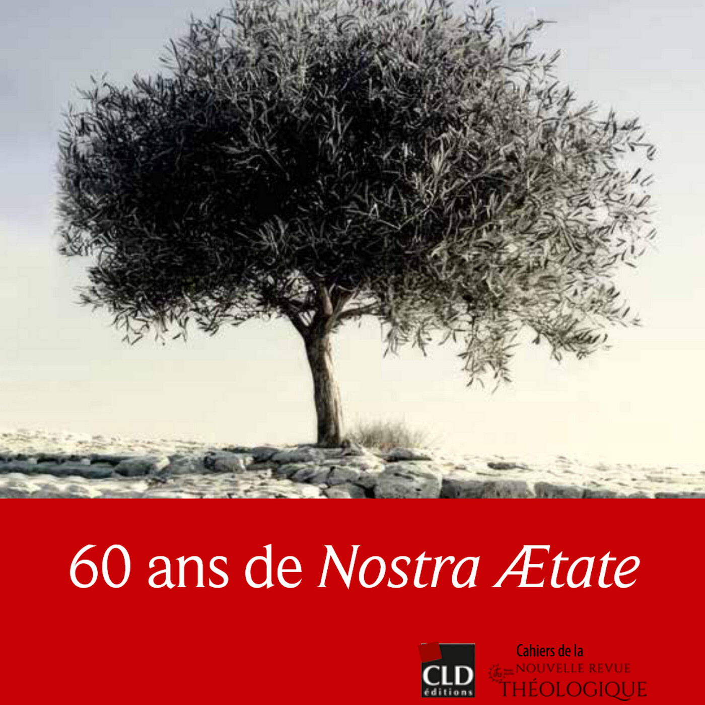 Israël et l’Église dans le dessein de Dieu « Pour que les deux marchent ensemble » (Am 3,3) episode artwork