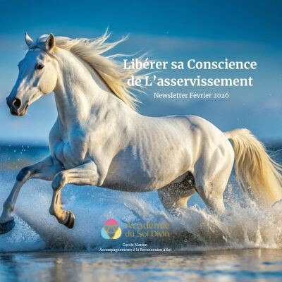 Libérer sa conscience de l'asservissement Newsletter Février 2026 cover
