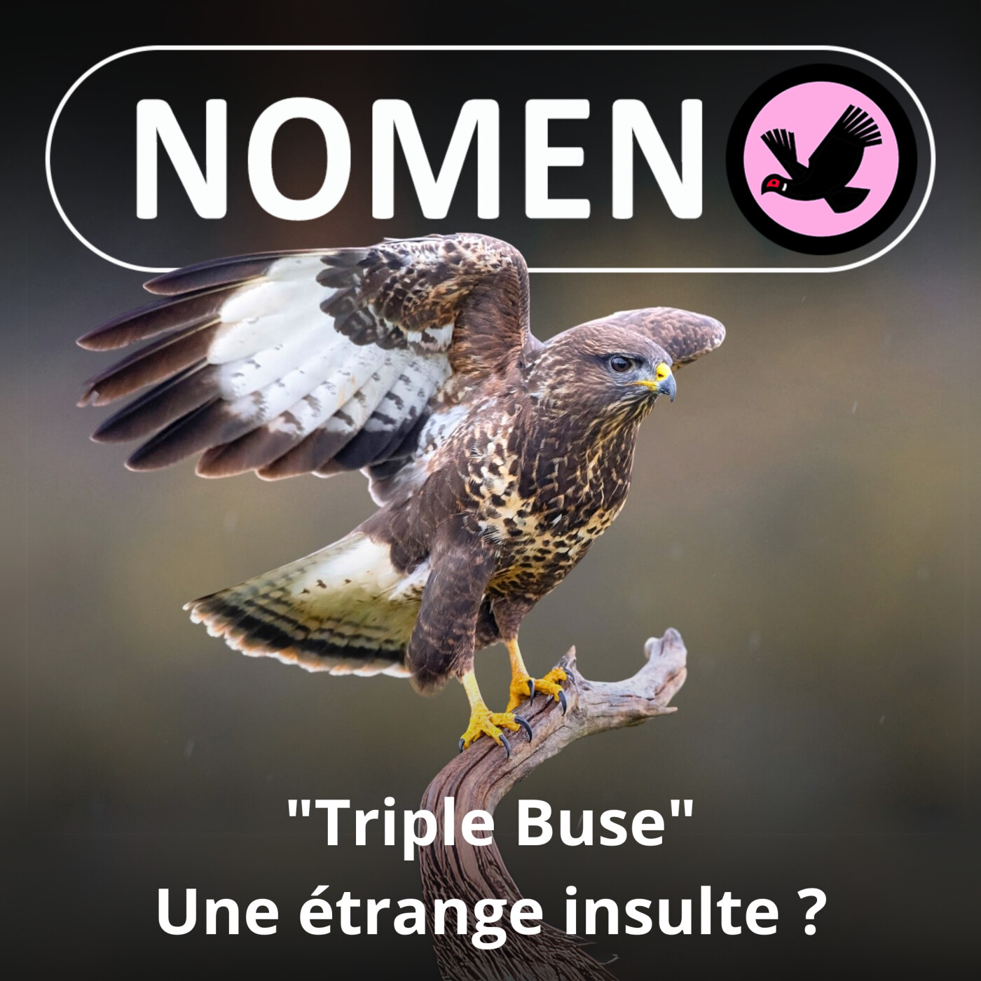S01E06 La Buse : Triple parce que... libre et impossible à dresser ! episode artwork