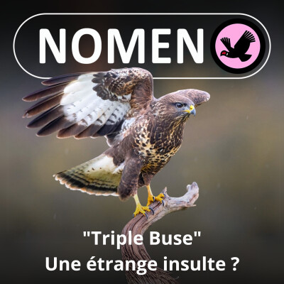 S01E06 La Buse : Triple parce que... libre et impossible à dresser ! cover