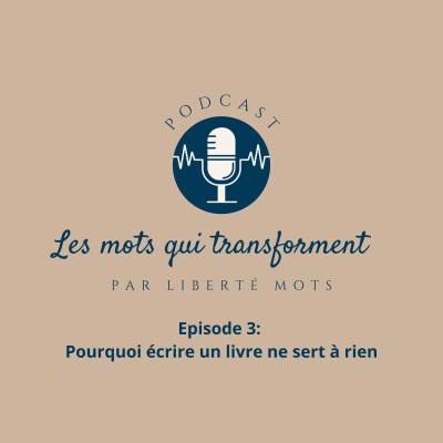 Pourquoi écrire un livre ne sert à rien ! cover