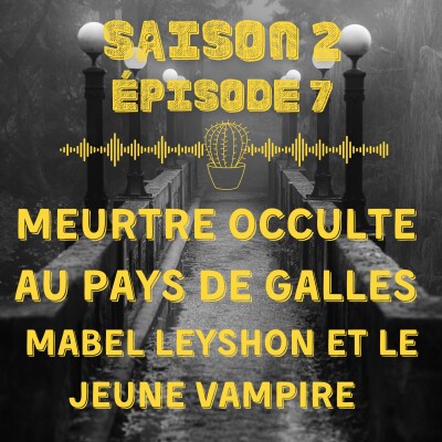 Meurtre occulte au pays de Galles : Mabel Leyshon et le jeune vampire... cover