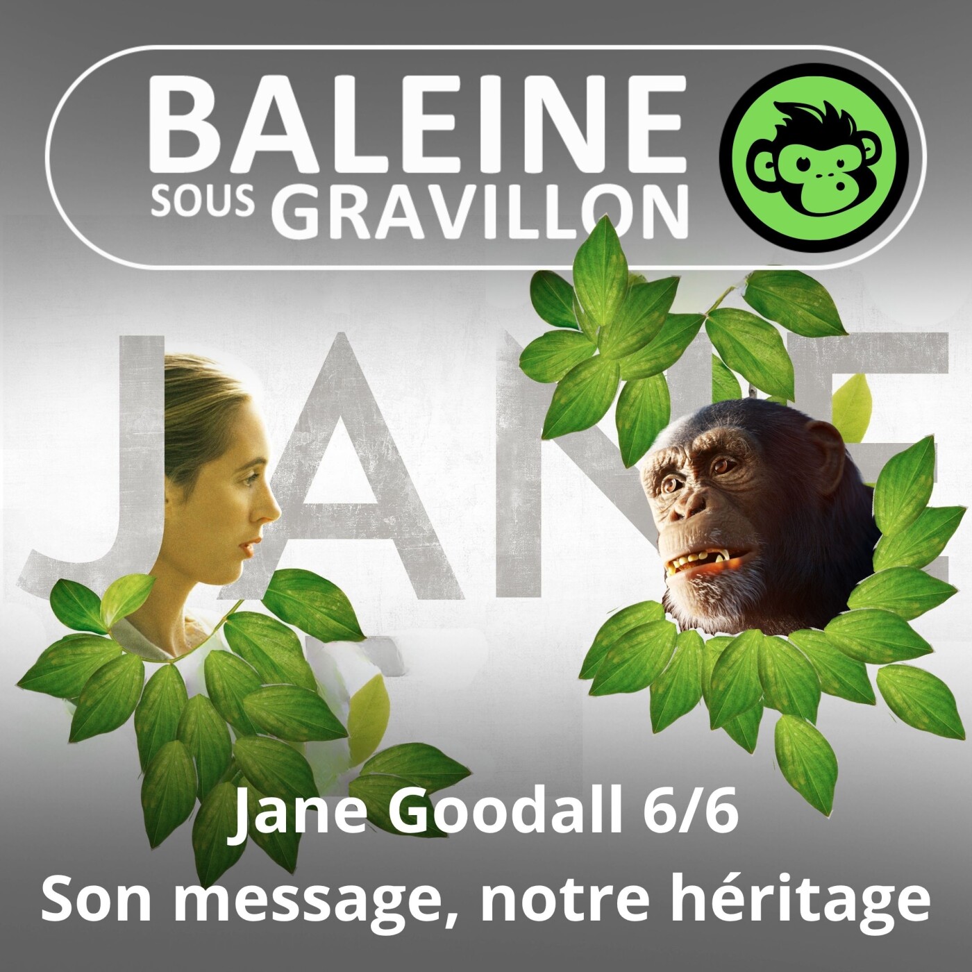 S07E26 Jane Goodall 6/6 : Son message, notre héritage (Emmanuelle Grundmann)