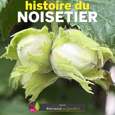 HISTOIRES BOTANIQUES: HISTOIRE DU NOISETIER cover