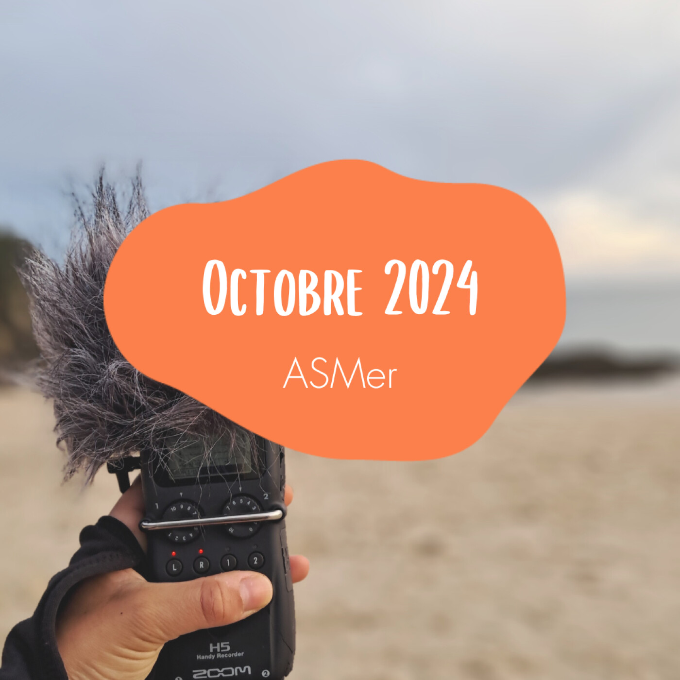 Octobre 2024 - ASMer