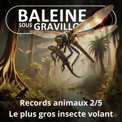 S07E145 Vous avez dit bizarre ? Records 2/5 : Des libellules préhistoriques de... 80 cm ! cover