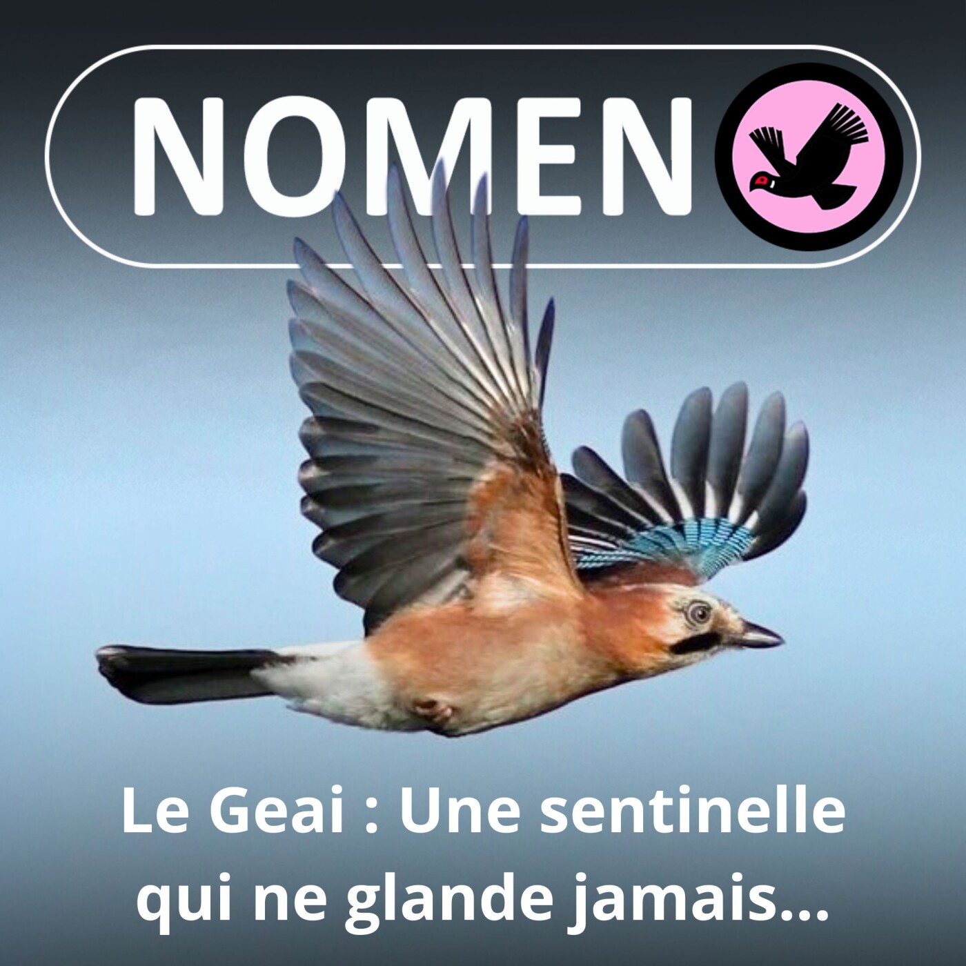 Nomen