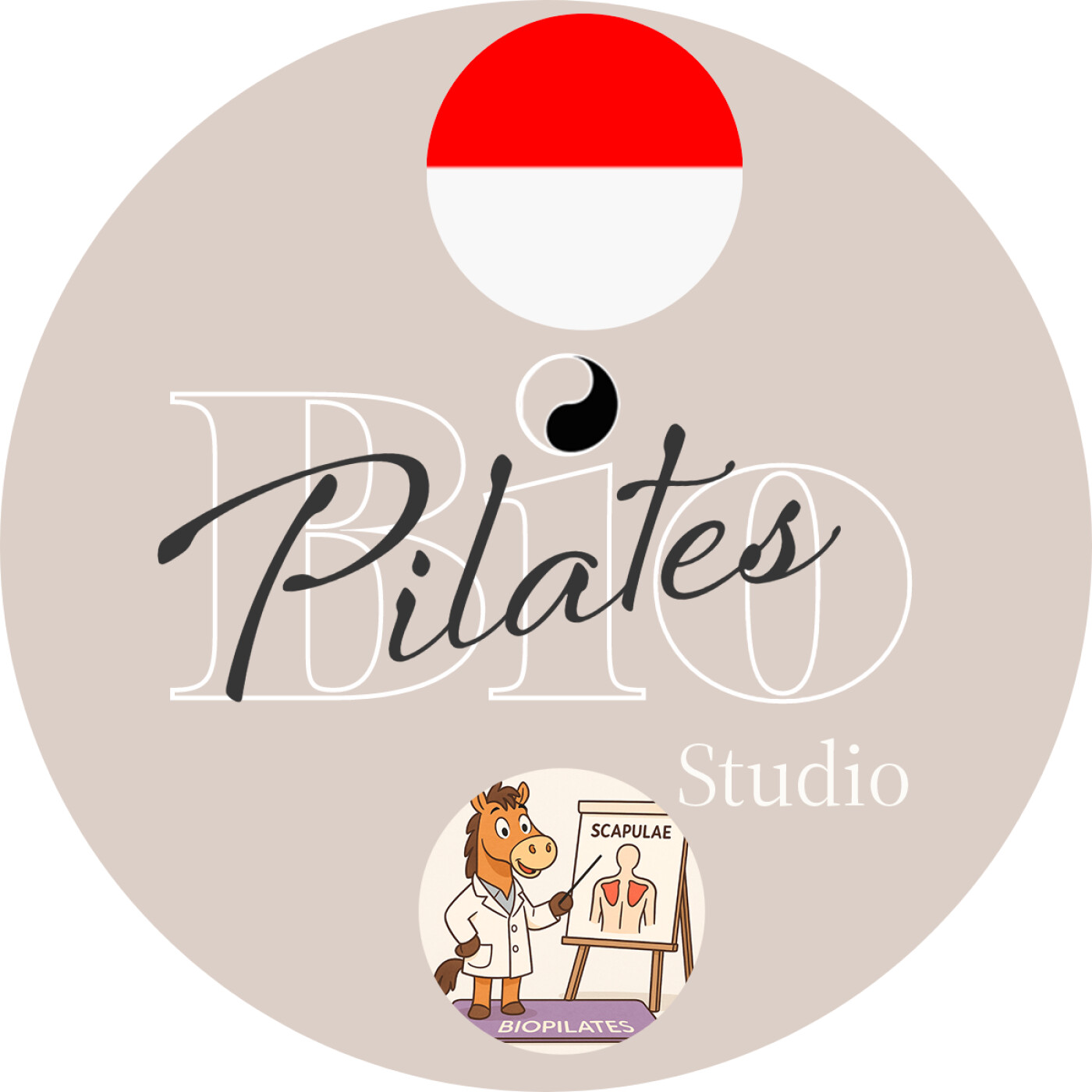 🇮🇩 Biomekanika Mobilitas dan Stabilisasi Tulang Belikat - Stott Pilates scapula stablization episode artwork