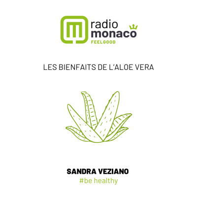 L'aloe vera : bienfaits & utilisations cover