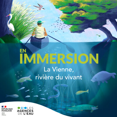 La Vienne, rivière du vivant cover