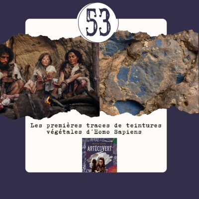 Les vraies premières teintures végétales de l'Histoire, quand Homo Sapiens découvre le bleu et l' indigo cover