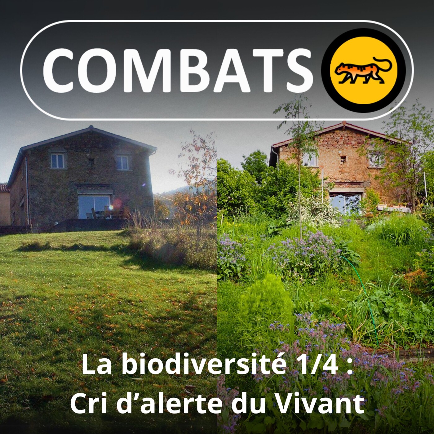 S03E33 La biodiversité 1/4 : Cri d’alerte du Vivant (Hugues Mouret, entomologiste)