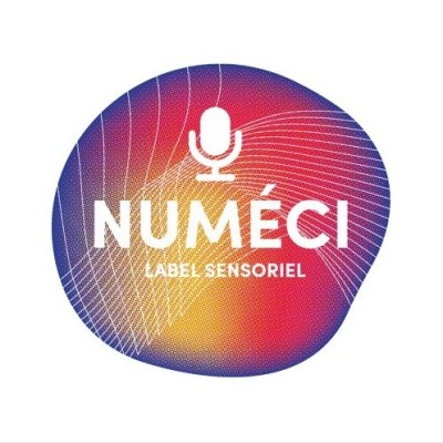 #4 NUMECI Les Cyborgeek rêvent-ils de moutons électriques ? cover