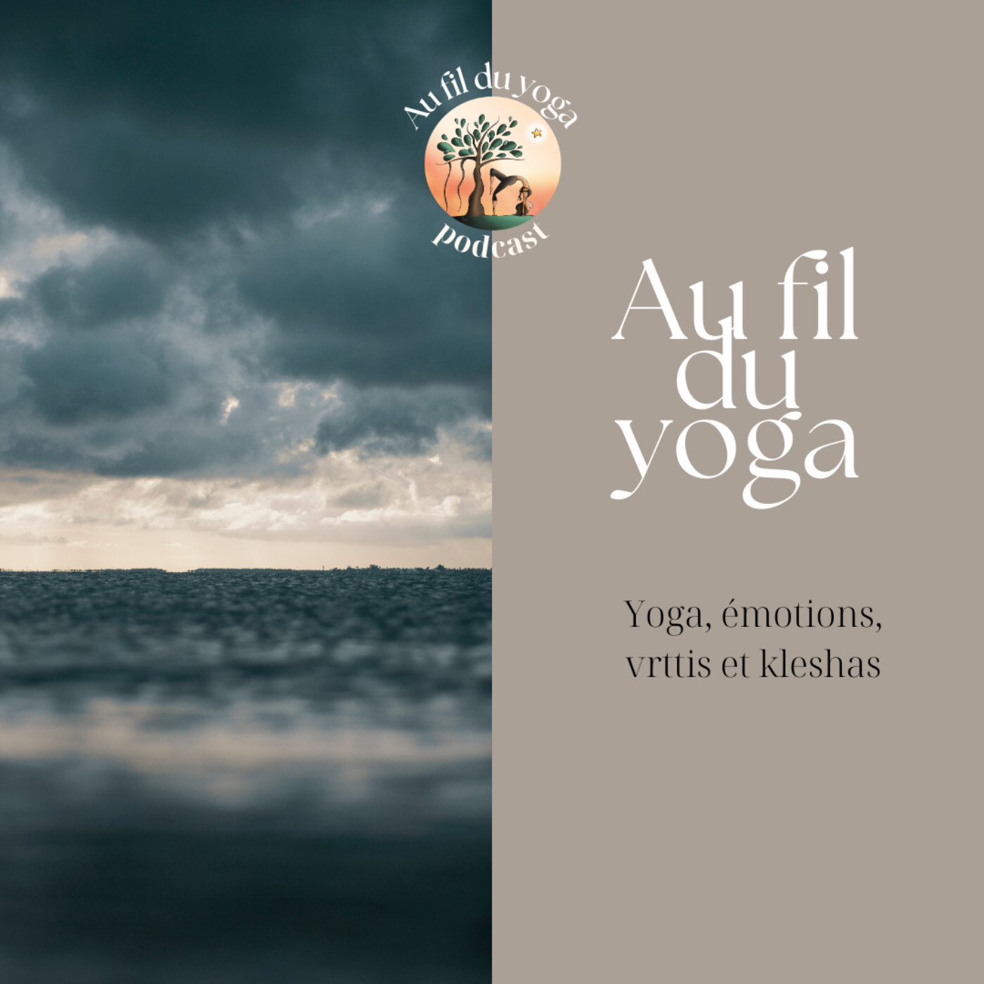 Saison 4 Episode 9 - Yoga et émotions, vrttis et kleshas