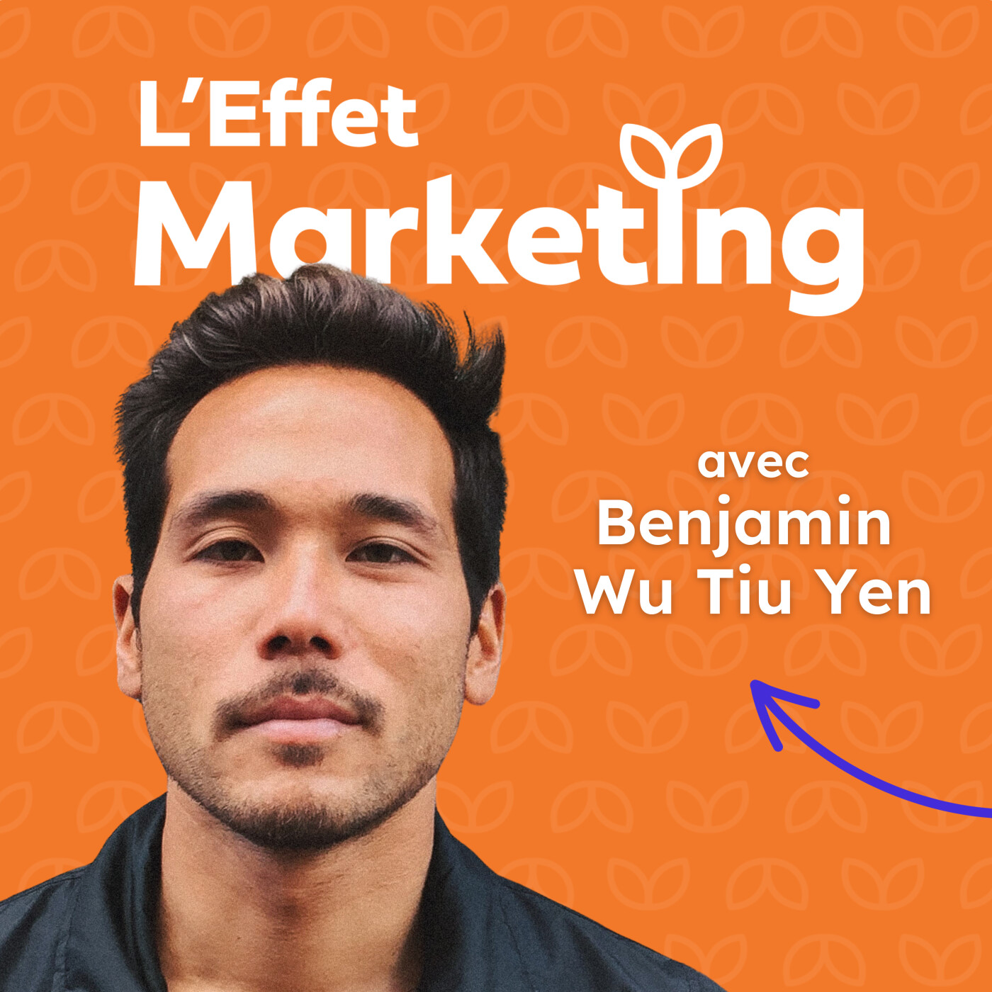 L\'Effet Marketing