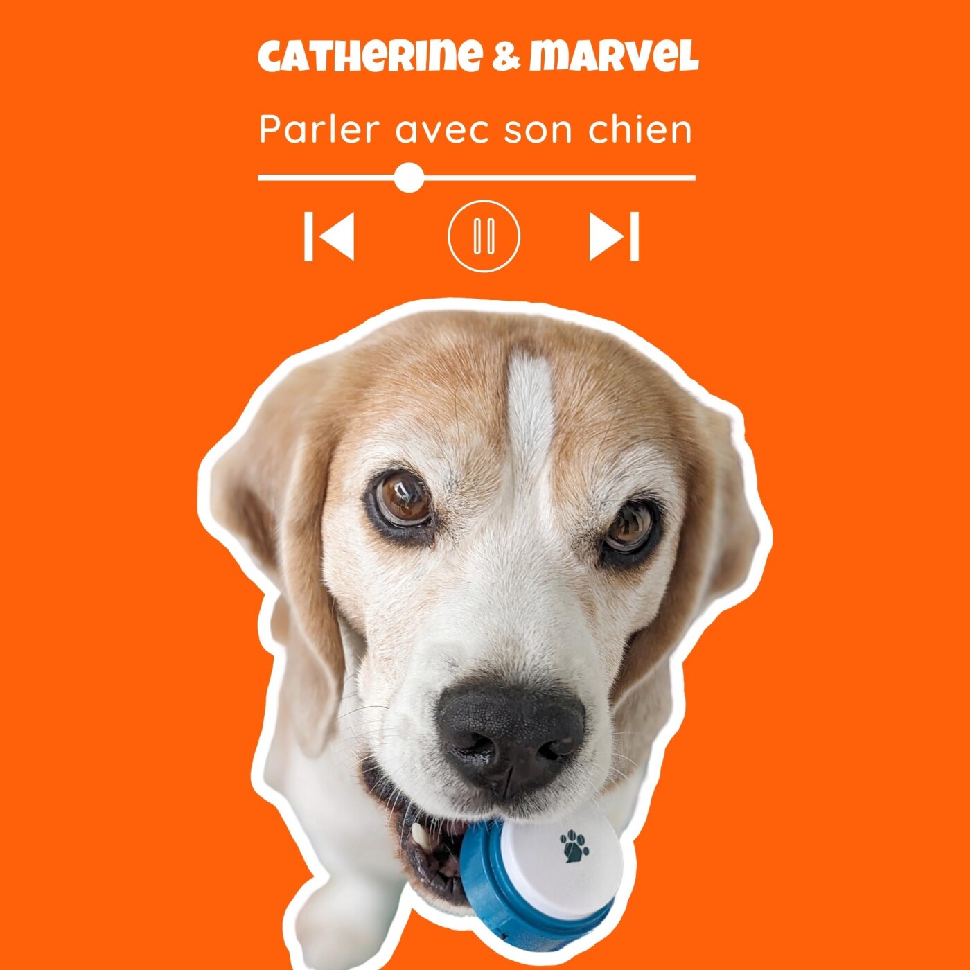 TWiP - Voyager avec son chien