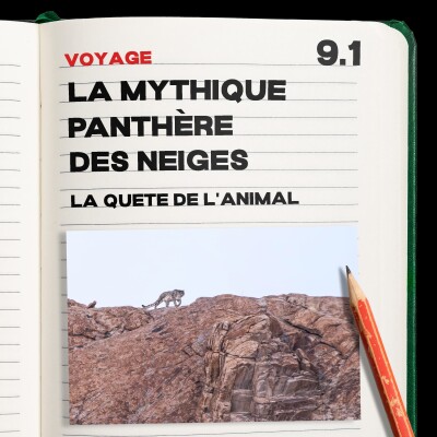 #9.1 La mythique Panthère des neiges cover