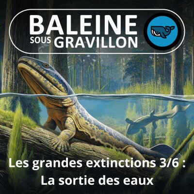 S03E16 Grandes extinctions de masse 3/6 : La sortie des eaux (Sylvie Crasquin, paléontologue) cover