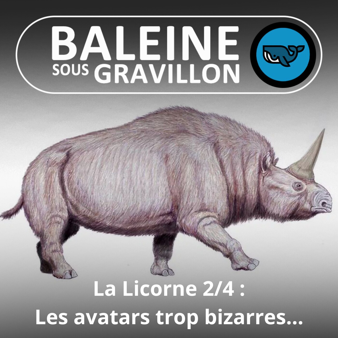 Baleine sous Gravillon