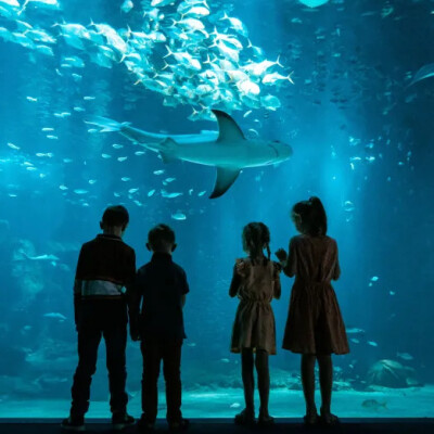 C'est le plus grand aquarium d'Europe ! cover