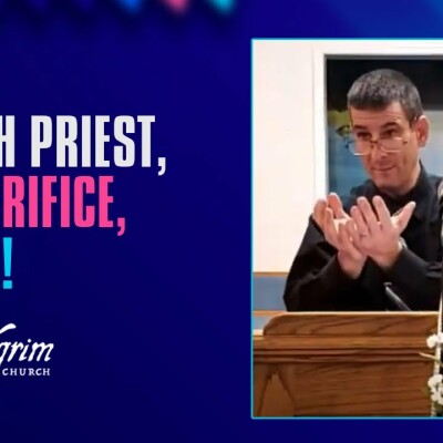 Doctrine of the Trinity: Jesus Christ as our High Priest, Sacrifice and Veil cover