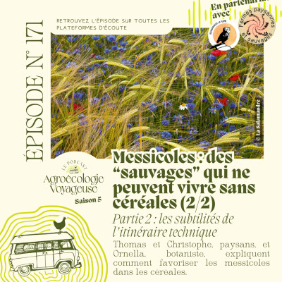 #171 Messicoles 🌾 Ces Paysans en ont Resemé, ils racontent (2/2) cover