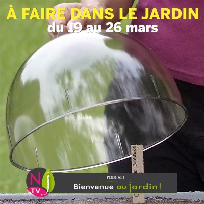 QUE FAIRE DANS LE JARDIN DU 19 AU 26 MARS ? cover