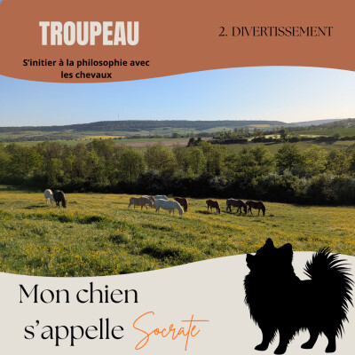 Ep.2 Divertissement cover
