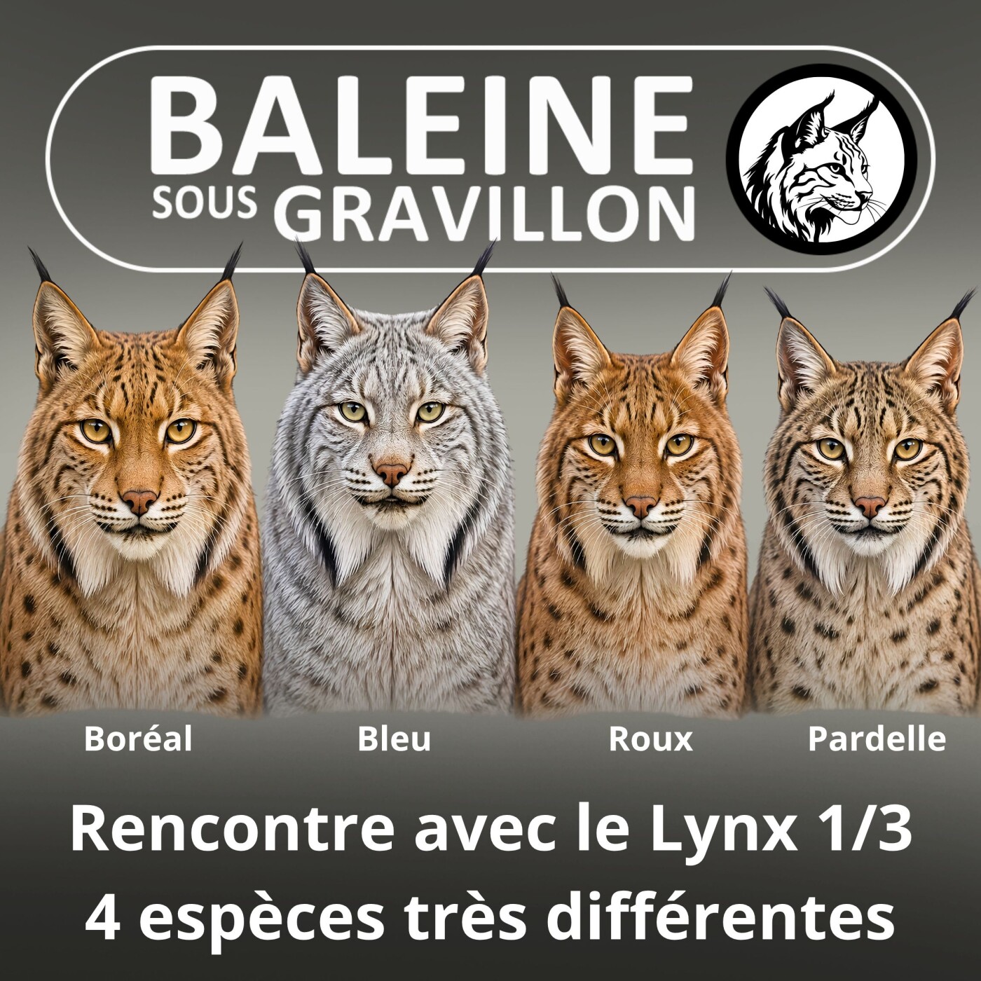 S06E59 Ma recontre avec le Lynx 1/3 : Quatre espèces très différentes (Laurent Geslin) episode artwork