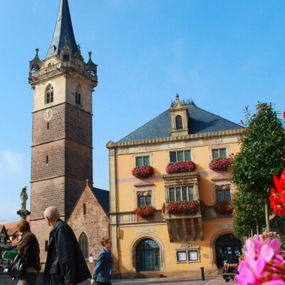 Découverte de la région de Ovalde dans le Grand-Est cover