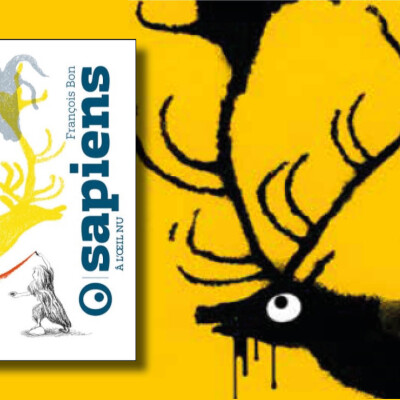 Sapiens à l'œil nu cover