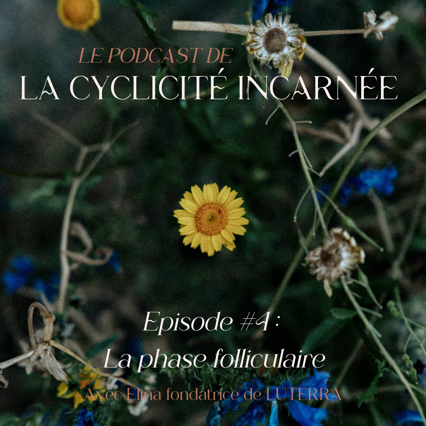 Cyclicité Incarnée