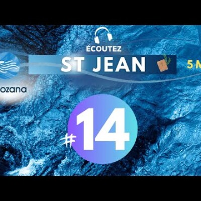 #14 Evangile de St Jean chap 11 • Versets 1-44 | Méditation audio #podcast cover