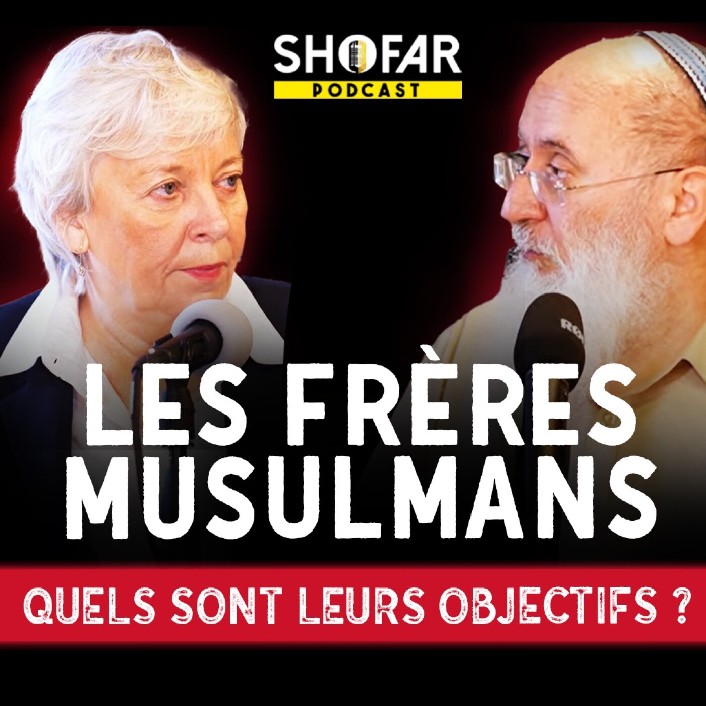 Les Frères musulmans : comprendre le danger pour la France et Israël Les Frères musulmans : comprendre le danger pour la France et Israël