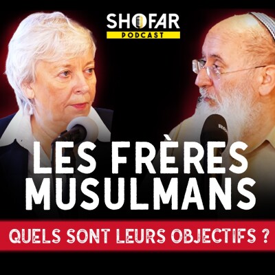 Les Frères musulmans : comprendre le danger pour la France et Israël cover