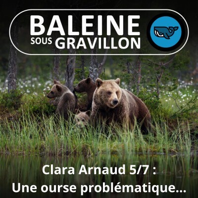 S06E20 Clara Arnaud 5/7 : Il était une fois une ourse... problématique cover