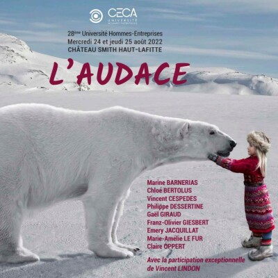 L'audace au service de l'entreprise et de son environnement cover