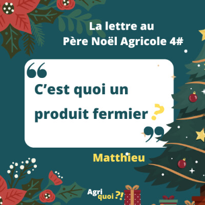 Lettre au Père Noël agricole 4 : C'est quoi un produit fermier ? cover