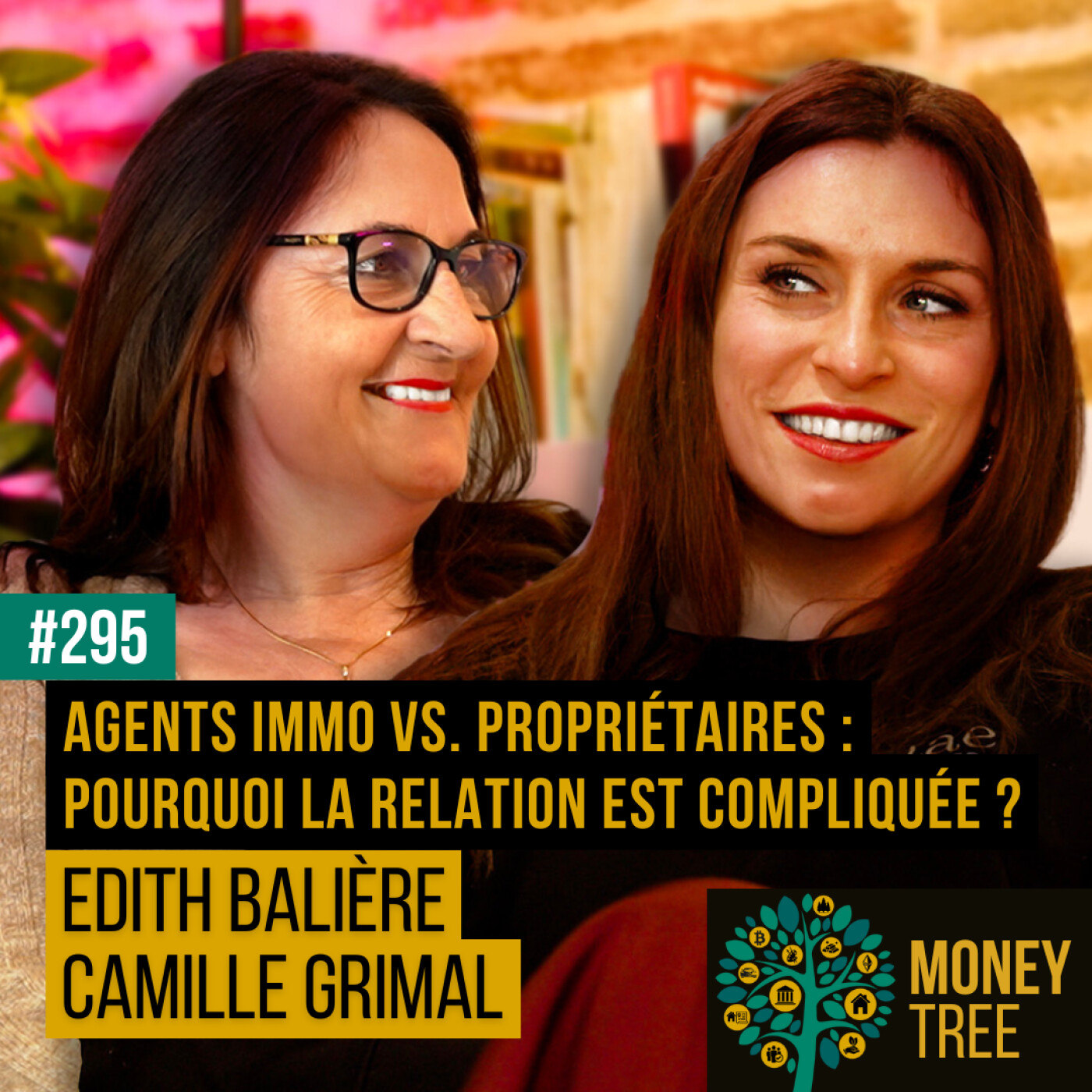 #295 - Agents immobiliers VS. propriétaires : pourquoi la relation est souvent compliquée ? (Camille Grimal et Edith Balière)