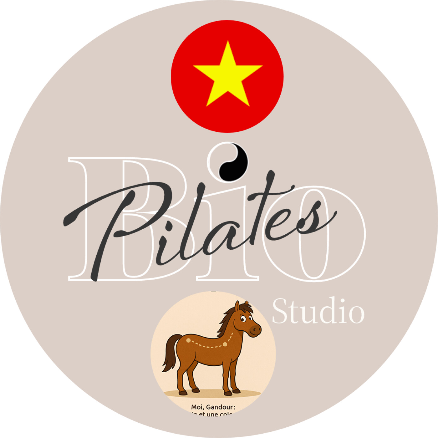 🇻🇳 🐴 Basic Principle Stott Pilates Pelvis placement -  Xương Chậu: Điểm Neo Chung Của Ngựa Và Người episode artwork