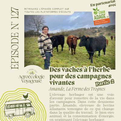 #127 Des Vaches à l’Herbe 🐄🍀 pour des Campagnes Vivantes (2/3) Amande de la Ferme des Trognes cover