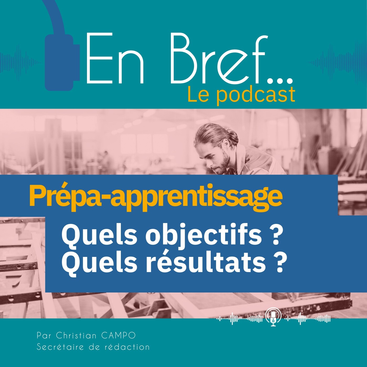 En Bref.... Le podcast du Céreq (Centre d\'études et de recherches sur les qualifications)