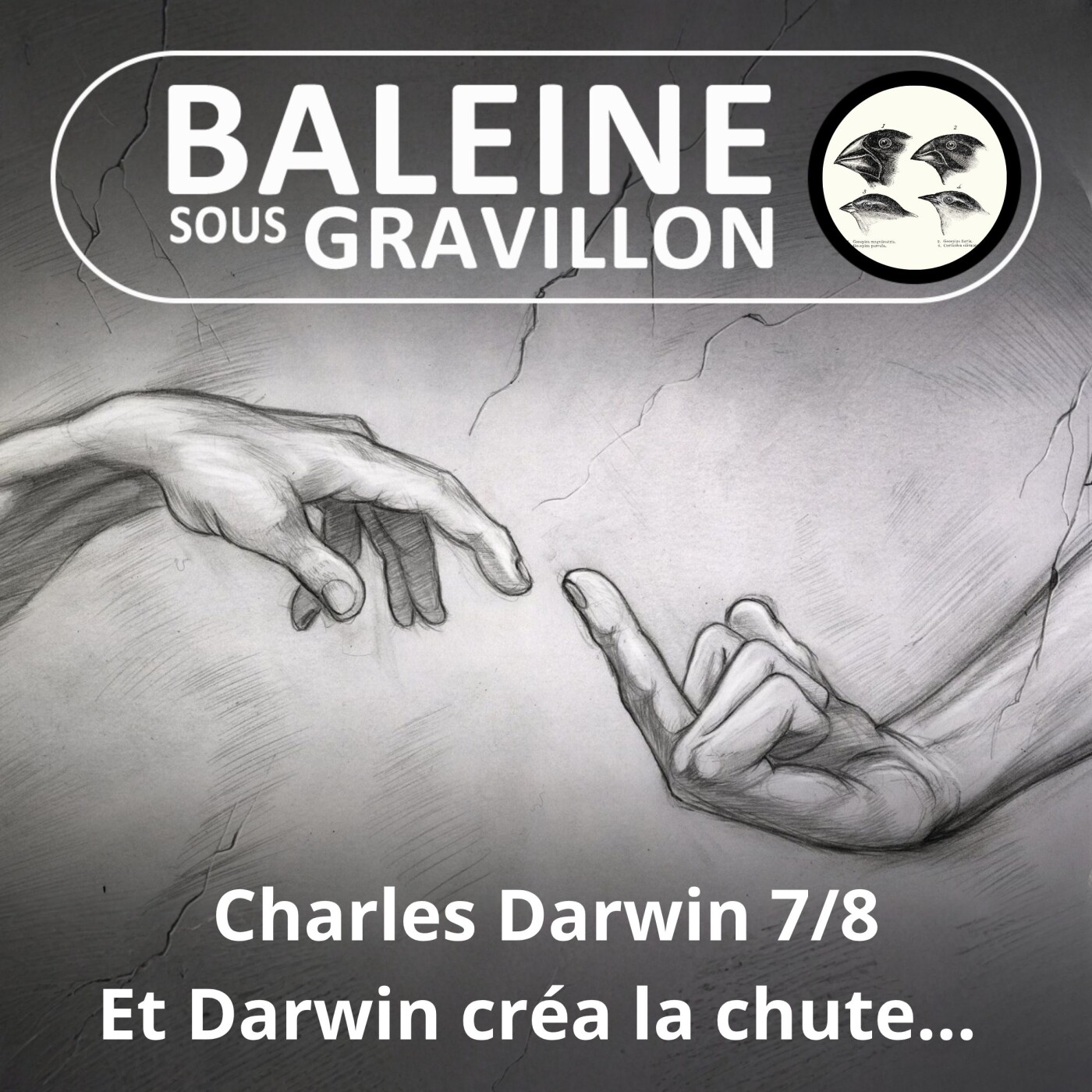 S03E94 Charles Darwin 7/8 : Une révolution qui replace l'humain en banlieue du Vivant episode artwork